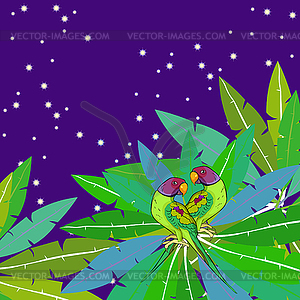 Indian ringed parrot ozherelovy parrot on star sky - vector image