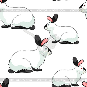 Seamless pattern home pet Californian rabbit. - vector clipart