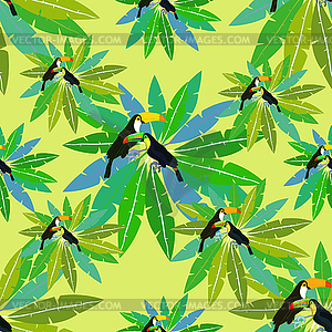 Seamless pattern Toucan exotic bird on palm - vector image