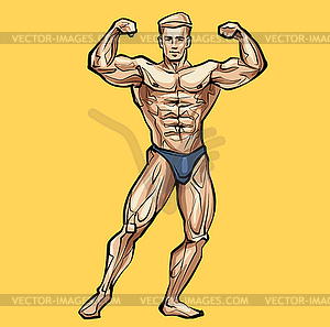 Bodybuilder muscle man, fitness posing. Colored, , - vector image