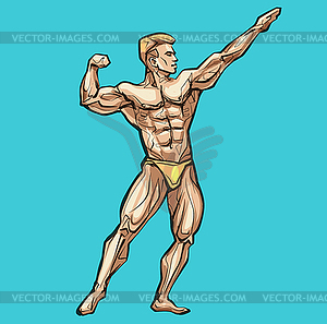 Bodybuilder muscle man, fitness posing. Colored, , - vector clipart