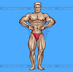 Fitness men posing. Muscular man stands, rippling - vector clipart