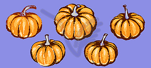 Pumpkin set for decoration halloween or thanksgivin - vector clip art