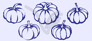 Pumpkin sketch. Textured brush drawing - vector image