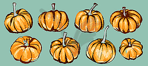 Pumpkin set for decoration halloween or thanksgivin - vector image