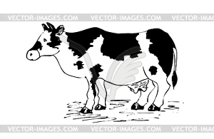 Cow drawing cartoon - vector clip art