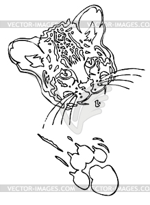 Leopard puma or jaguar face with print of paw - vector clipart