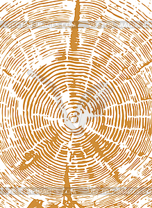 Cross section of tree stump - royalty-free vector clipart