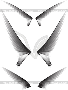 Set gray wings  - vector image