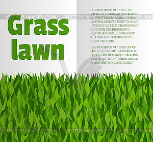 Booklet layout with green grass. - vector image