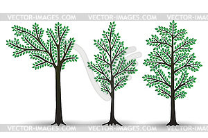 Set of Stylized abstract trees with green foliage - vector clipart