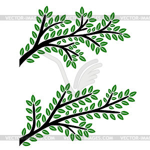 Филиалы с зелеными листьями - векторное изображение