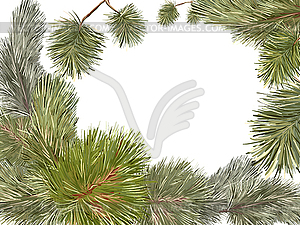 Pine tree frame - vector clip art