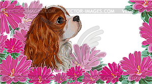 Spaniel dog realistic aster - vector image