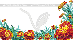 Frame flowers marigold - vector image