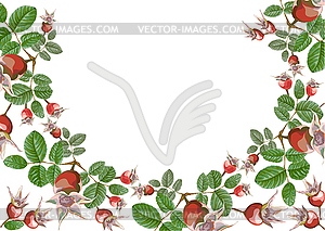 Dogrose hips half round - color vector clipart