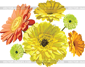 Gerbera flowers yellow, orange and green painted - vector clipart