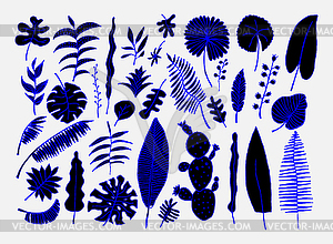 Set of hand-drawn bright tropical plants - color vector clipart