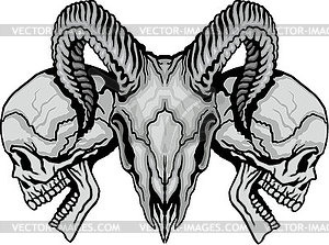 Skull 300 - vector image