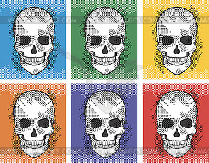 Graphic skull - color vector clipart