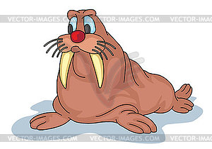 Walrus - vector clip art