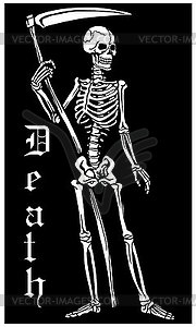 Skeleton - vector clipart