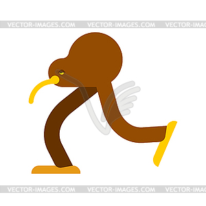 Kiwi bird cartoon . little bird run - vector clipart