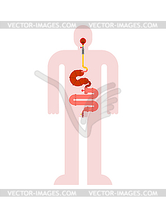 Metal digestive tract. Iron stomach and - vector clip art
