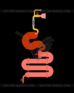 Metal digestive tract. Iron stomach and - vector image