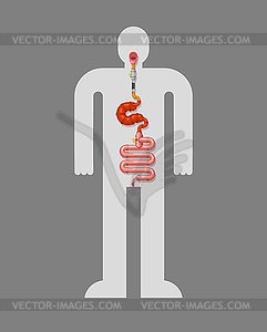 Metal stomach and intestines. Robotic internal - vector clip art