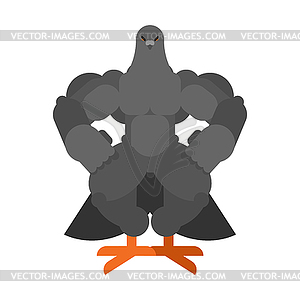 Strong dove. Powerful pigeon. hard City bird - vector image