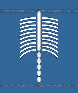 Spine and ribs . Anatomy - vector image