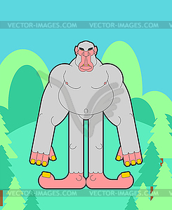 Yeti in forest. Bigfoot abominable snowman - vector image