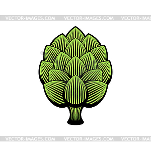 Hop Beer sign icon. Hops seed  - vector image