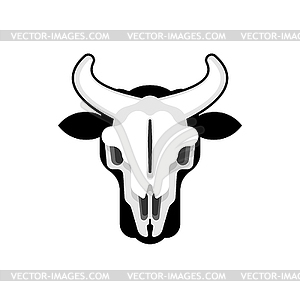 Bull skull . Cow skeleton head - vector image