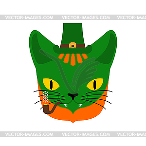 Cat Irish leprechaun. st patricks day - vector image