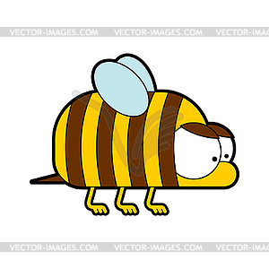 Bee cartoon . Cute honeybee - vector image