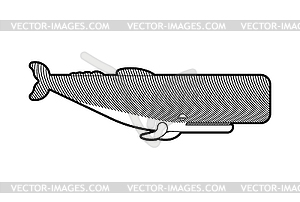 Sperm whale Engraving. Cachalot etching - vector clip art