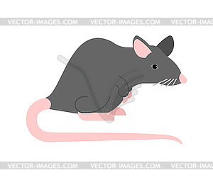 Gray mouse . Grey mice - vector image