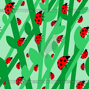 Ladybug in grass pattern seamless. Red small bug - vector clipart