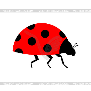 Ladybug . Red small bug. beetle - vector clipart