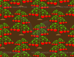 Tomato bush pattern seamless. Tomatos background. - vector clipart