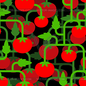 Tomato bush pattern seamless. Tomatos background. - color vector clipart