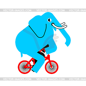 Elephant on bicycle. animal is riding bicycle. - vector image