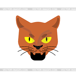 Cat Gangsta face. Angry pet muzzle. Animal bully - color vector clipart