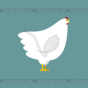 White Hen . Chicken Farm bird - vector image