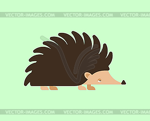 Cartoon hedgehog . small animal with needles on - vector clipart