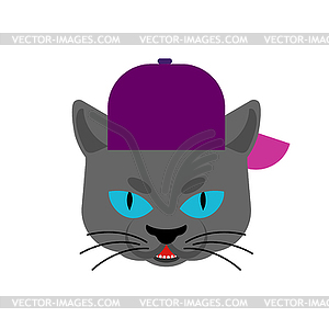 Cat Gangsta face. Angry pet muzzle. Animal bully - vector clipart