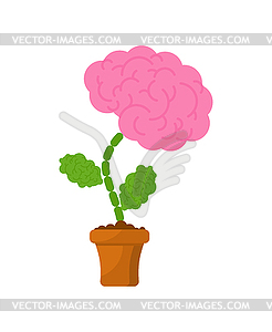 Brain in flower pot. concept education and Intellect - vector clip art