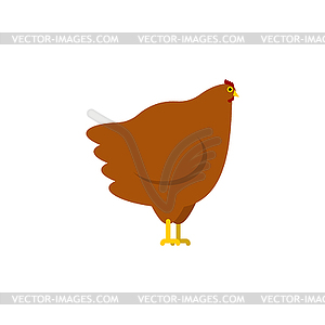 Hen . Chicken Farm bird - vector clipart